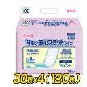 フリーネ 大人用紙おむつ 背モレ安心 フラットタイプ (吸収量450ml)30枚×4(120枚) FAF-19*4 大人用紙オムツ フラット おむつカバー オムツカバー 介護用おむつ 介護用オムツ第一衛材 【送料無料】