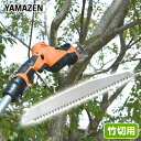 高枝ガーデンポールソー用 替刃 (竹切用) 2本セット 替え刃 枝切りばさみ 高枝切りバサミ 高枝切鋏 山善 YAMAZEN 【送料無料】 0614P