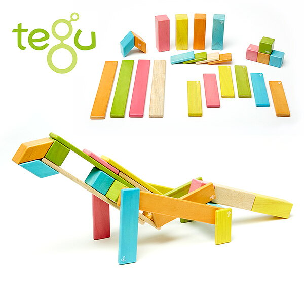 tegu(テグ) マグネットブロック 磁石 知育玩具24ピース 対象年齢1歳から TYTU00401 ティント おもちゃ クリスマス 誕生日 赤ちゃん ベビー 木製 天然木 木のおもちゃ マグネット 磁石 ごっこ遊び 1歳 男 女 積み木 つみき 【送料無料】