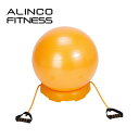 アルインコ(ALINCO) エクササイズボール 55cm セット(ボール、固定台、チューブセット)エアポンプ付 EXG124DX オレンジ バランスボール フィットネスボール ヨガボール 55cm 【送料無料】