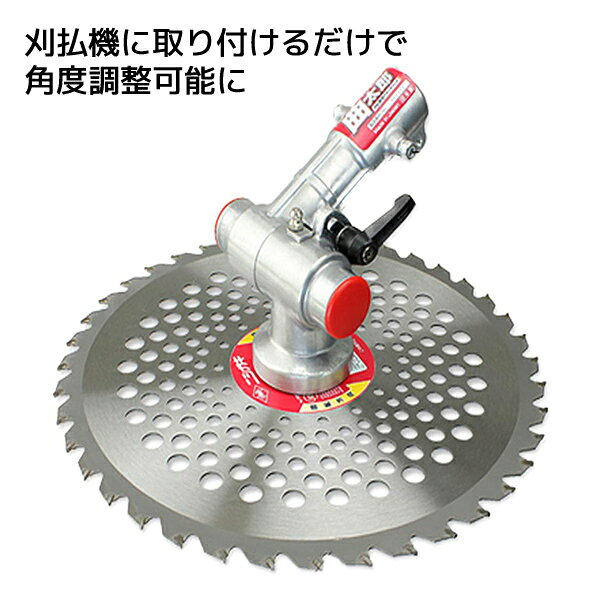 ��ʧ���ѥ����å����� ����Ϻ N-798 �𴢵� ��ʧ�� �𴢤굡 ��ʧ�굡 �����å����� �˥��������� ������̵����