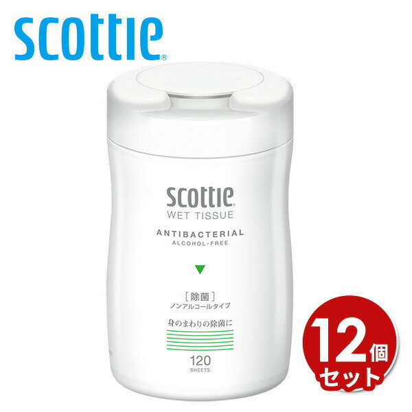 スコッティ ウェットティッシュ 120枚入り×12個ノンアルコール・天然除菌成分配合 scottie 本体 ウェットティシュー お手拭き おてふき 厚手 除菌 無香料 ノンアルコール ボトル 日本製紙クレシア 【送料無料】
