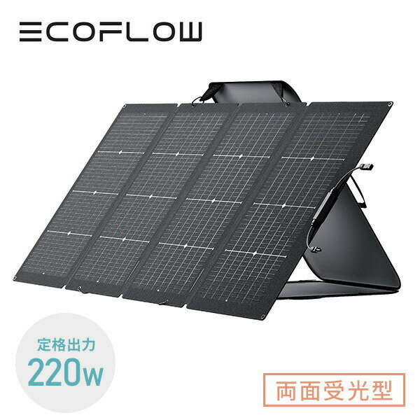 220Wξ̼顼ѥͥ ξ̼ȯ ǼХåդ ȯ  ECO ɿ ɿ   ȥɥ ɺ ۵޻  С٥塼 BBQ EcoFlow ե ̵