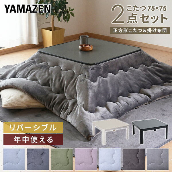  奢뤳ġեͥ뤳ĥå 2å  75x75cm 300W ŷĥС֥ ĥС֥ ...