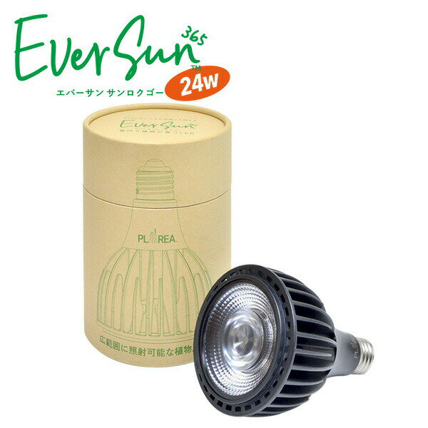 EVERSUN365 С  EVERSUN365 ʪ LED饤ȥ  տʪ ¿ʪ ̺ ƥꥦʪ ܥƥ Ǯӿʪ ƥꥢ 󥹥 ̵