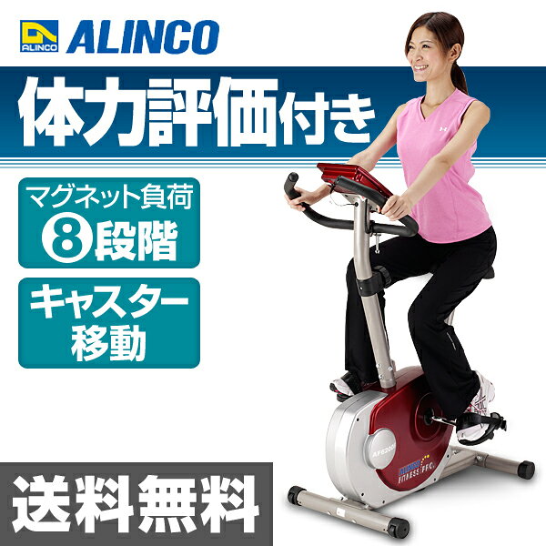 ALINCO アルインコ エアロマグネティックバイク AF6200 