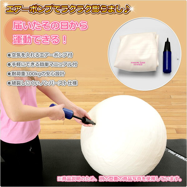 エクササイズボール(65cm) エアポンプ付 EXG025A バランスボール ヨガボール バランス運動 ストレッチ運動 在宅 運動不足解消 アルインコ ALINCO 通販格安セール情報 楽天 通販