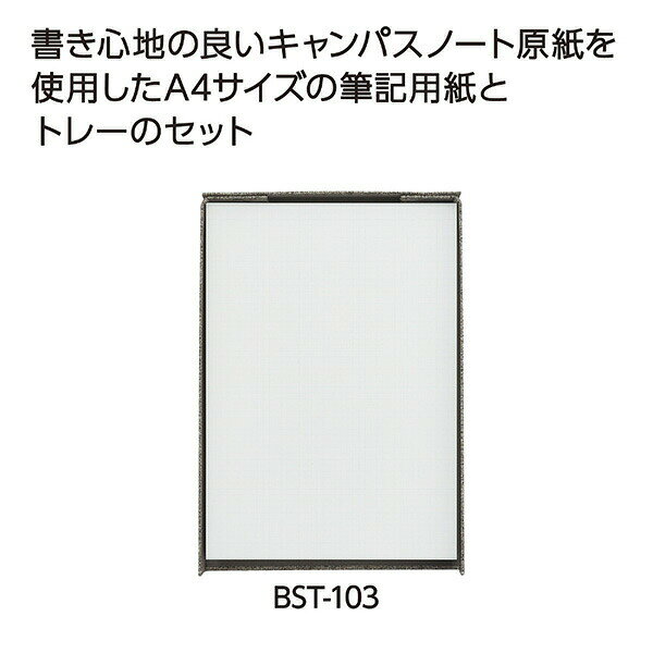 ライティングペーパーセット ＜オキブング＞ A4 5mm方眼罫 300枚 BST-103 共用文具 文具 文房具 文具セット 文房具セット ステーショナリー 事務用品 備品 オフィス 会社 学校 トレー 筆記用紙 ライティングペーパー コクヨ KOKUYO 【送料無料】 kagustyle-10044377 e家具スタイル サンプル画像3
