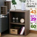 2個セット カラーボックス2段 横置きA4ファイル対応 縦置きB5ファイル対応 収納棚 幅42.8cm 奥行29.2cm 高さ59.9cm(約 幅43cm 奥行30cm 高さ60cm)教科書 学用品 子ども部屋 シンプル 木目柄 おしゃれ かわいい 洗面所 キッチン 漫画 リビング 本棚 コミック MBS-02