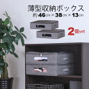 ベッド下収納 2個セット ふた付き 取っ手付き 幅46cm 奥行38cm 高さ13cm 衣類 収納ケース 中身が見える 収納ボックス 薄型 46×38 ベッド下...