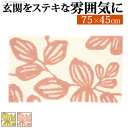 玄関マット 室内 洗える 玄関マット 〔エルブ〕 75x45cm 屋内 長方形 柄 おしゃれ エントランスマット マット ラグマット ウォッシャブル 滑り止め 防ダニ スミノエ 日本製