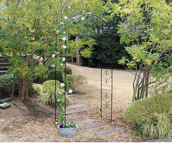 �������󥢡��� ������� �ۥ磻�� �������֥��� �ϡ��� ����ѥ��ȼ�Ǽ ��114.5cm ����38cm �⤵233cm ����ߥ͡������ˤ����� �� Ŵ�� �ϡ��� �� �ե��� �����ǥ󥢡��� ���� �̲� �����ǥ˥� ���� �ĥ� �� ����ȥ�� �������ƥꥢ ���ޥ���å� �֥��å���