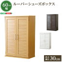 靴箱 シューズボックス 下駄箱 シューズラック スリム シューズボックス 幅60cm 奥行34.5cm 高さ93cm 最大21足 狭い 玄関 靴 収納 省スペー...