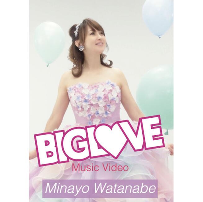 直筆サイン入り渡辺美奈代デビュー35周年記念シングル「BIG LOVE」Music Video（DVD）