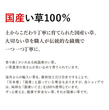 国産いぐさ 日本製 【こども寝ござ】 涼しい お昼寝マット 国産 いぐさ 寝ござ ベッドマット いぐさマット 子供用 ベビー用 出産祝い