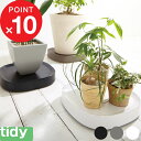 [5/5抽選で最大100%ポイントバック] tidy 「Plantable」 ティディ プランタブル キャスター付き鉢皿 ブラック ブラウン ホワイト 台車 キャスター付き 鉢台 鉢皿 受皿 受け皿 トレイ トレー プレート 鉢植え台 観葉植物 鉢植え 植木鉢 プランター スタンド テラモト