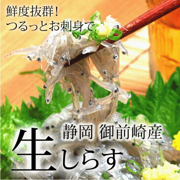 《生桜えび・生しらすセット》送料無料【楽天ランキング第1位】春漁 駿河湾産生なまセット父の日 お中元 冷凍「海鮮丼のたれプレゼント」無料ギフト包装・のし