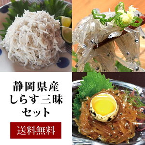 《静岡県産しらす三昧セット》送料無料〈生しらす・釜揚げしらす・生しらすの沖漬け〉 満天青空レストラン　青空レストラン 海鮮珍味 日本酒 おつまみ お取り寄せ お取り寄せグルメ 駿河湾産 舞阪 しらす 冷凍便 内祝い お中元 敬老の日 ギフト 贈り物 無料ギフト包装・のし