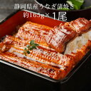 《静岡県産うなぎ蒲焼き 1尾セット》165g×1尾〈タレ・山椒付き〉 ギフト 静岡産 ブランド鰻 国産 国内産 鰻 静岡自慢 お取り寄せ グルメ 脂乗り抜群 ふっくら柔らか 鰻蒲焼 土用の丑の日 お歳暮