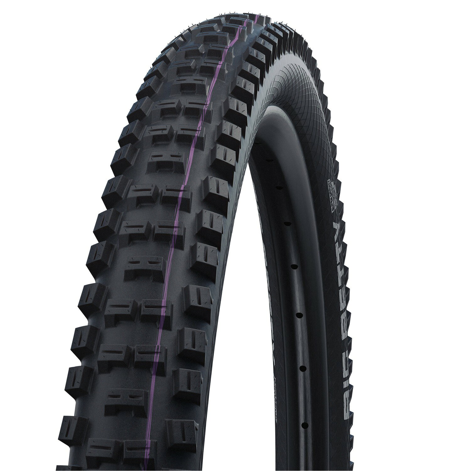 Rakuten - 国内正規品 沖縄・離島配送不可【80】ビッグベティ BIG BETTY 29×2.40 ブラック Super Downhill ADDIX Ultra Soft チューブレスイージー TLE シュワルベ SCHWALBE SW-11654163 お取り寄せ◆