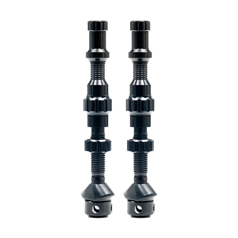 国内正規品 EXO-CORE VALVE SET REGULAR 35mm EXOコア バルブセット レギュラー STAN’S スタンズ チューブレスバルブ AS0239 お取り寄せ◆