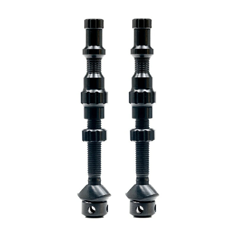 国内正規品 EXO-CORE VALVE SET MEDIUM 44mm EXOコア バルブセット ミディアム STAN’S スタンズ チューブレスバルブ AS0240 お取り寄せ◆