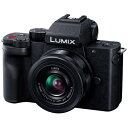 LUMIX 沖縄配送不可★【80】メーカー正規品・正規保証付き DC-G100K-K パナソニック Panasonic ミラーレス一眼カメラ LUMIX(ルミックス) 標準ズームレンズキット【楽天あんしん延長保証加入可能】【kk9n0d18p】◆