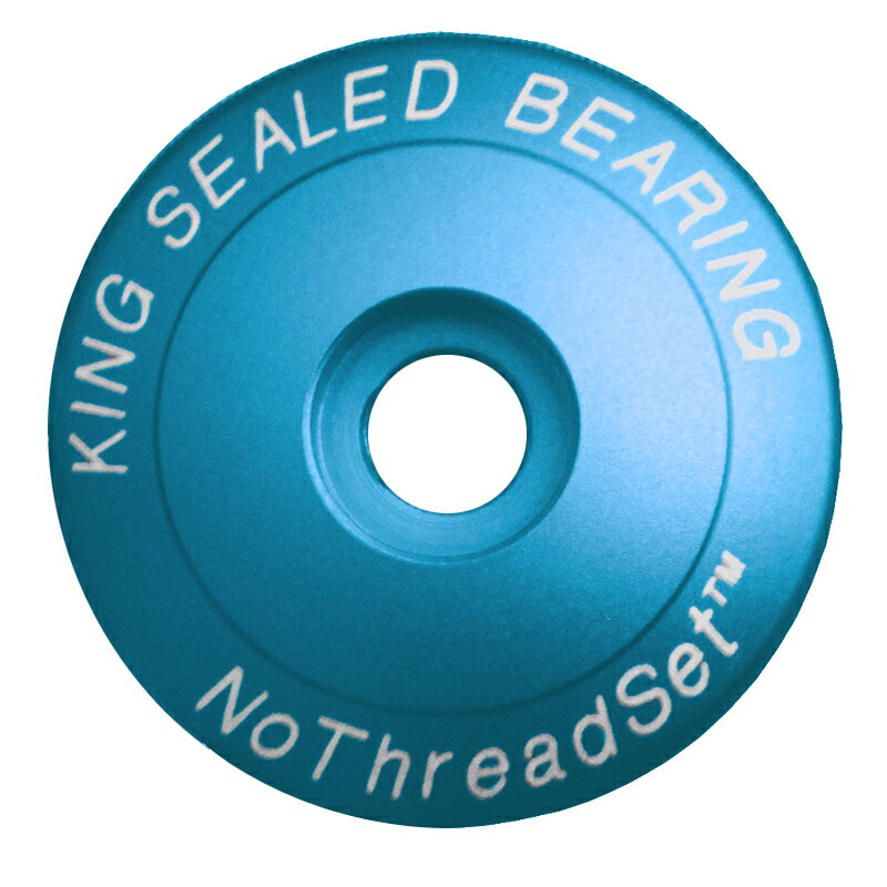 国内正規品 PHS456Q ステムキャップ 1-1/8インチ マットターコイズ CHRIS KING クリスキング STEM CAP お取り寄せ(4.0)