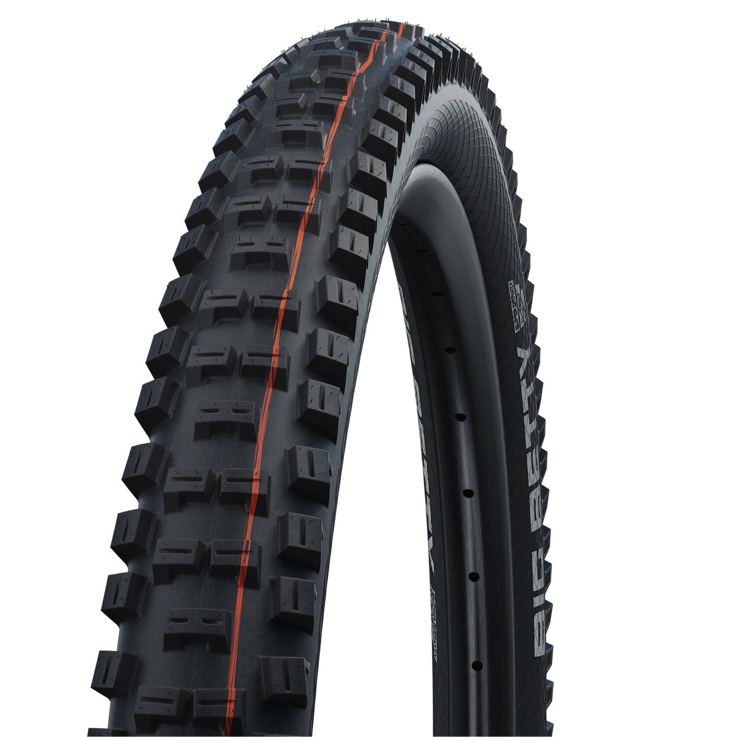 Rakuten - 国内正規品 沖縄・離島配送不可【80】ビッグベティ BIG BETTY 29×2.60 ブラック Super Gravity ADDIX Soft チューブレスイージー TLE シュワルベ SCHWALBE SW-11654158 お取り寄せ