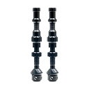 国内正規品 EXO-CORE VALVE SET REGULAR 35mm EXOコア バルブセット レギュラー STAN’S スタンズ チューブレスバルブ A...