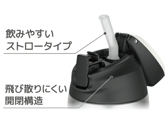 国内正規品 真空断熱ストローボトル FFQ-600 ステンレスブラック サーモス THERMOS...
