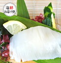 【丸尚】送料無料★冷凍*解凍するだけ!新鮮な青森県産のするめいか いか刺し 8食分