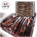 【丸尚】送料無料★冷凍*石川県産のするめいか まるごと急速凍結 30尾 スルメイカ 30杯 小木・七尾・輪島・珠洲など