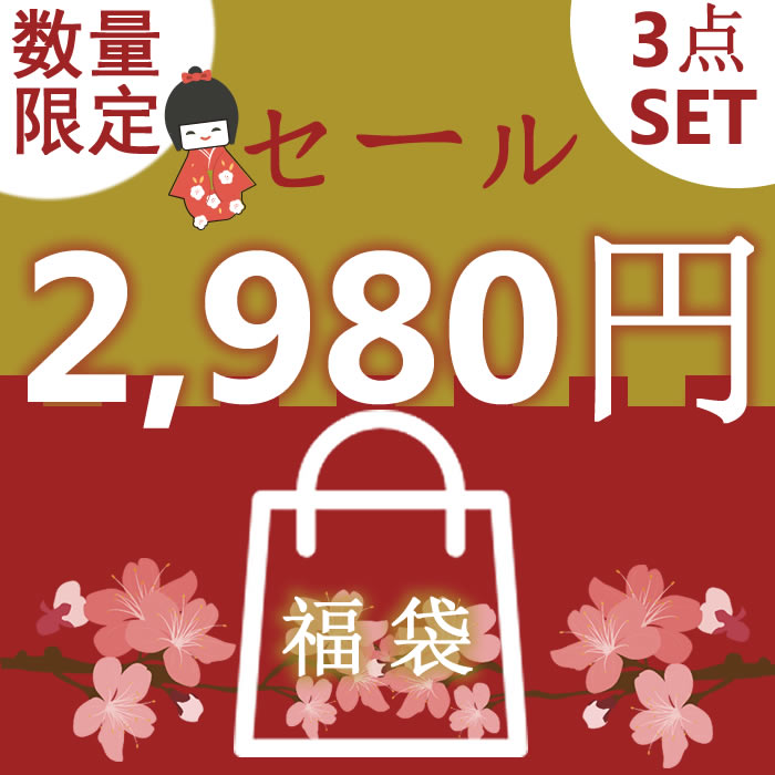 大入り福袋 サイズが選べる 人気 3点福袋 ふくぶくろ ハッピーバック ワンピース カーディガン ブラウス トップス パンツ スカート カットソー ラッキーボックス 帽子 ニット 長袖 大きいサイ…