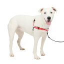 PetSafe(ペットセーフ) 犬用 引っ張り防止ハーネス デラックスイージーウォークハーネス ローズレッド×ブラック M/L