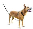 PetSafe(ペットセーフ)犬用ハーネス 3in1ハーネス ブラック Mサイズ