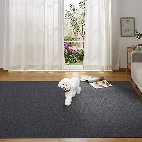   ý ۥ󥳡 ʤ 륫ڥå 3030cm 졼 100 ڥåȥ  ޥå 祤ȥޥå KN-53