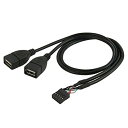 Cablecc によって10ピンマザーボード雌ヘッダにデュアルUSB 2.0雌アダプターケーブル50センチメートル