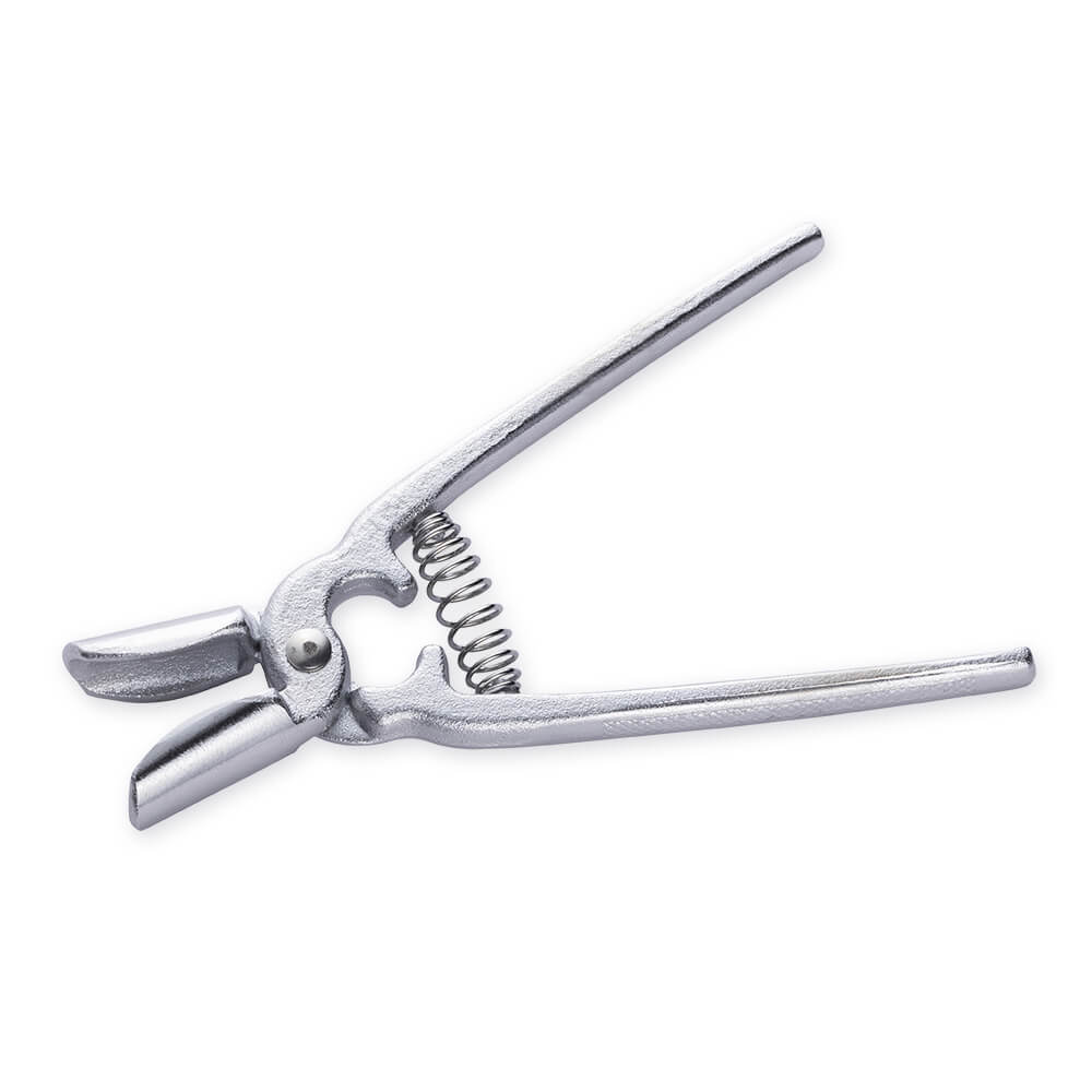 貝印 銀杏割りのサムネイル