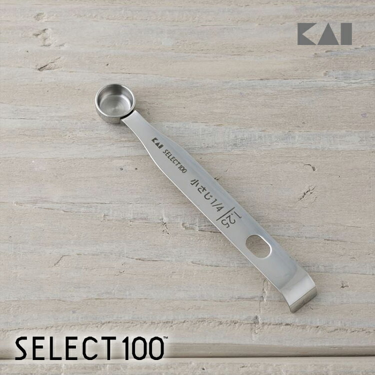 【最大15％OFFクーポン＋ポイント：ブラックフライデー】 【メール便】[M便 1/1] SELECT100 計量スプーン 0.63ml 小さじ1/8(少々) DH3125 ギフト 贈り物 プレゼント お菓子作り 製菓道具 ホワイトデー