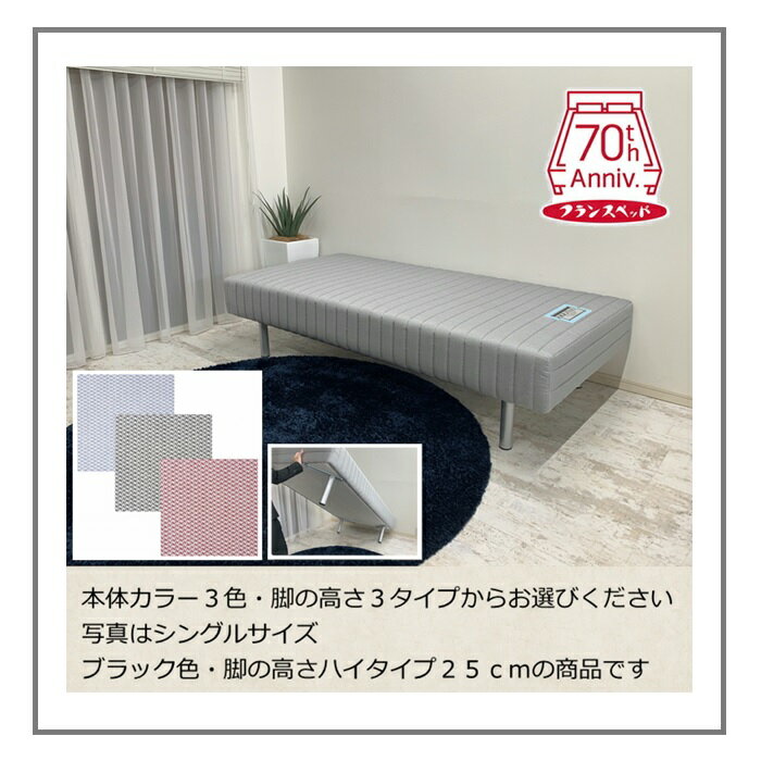 フランスベッド脚付きマットレスシングル【送料・開梱設置無料】S