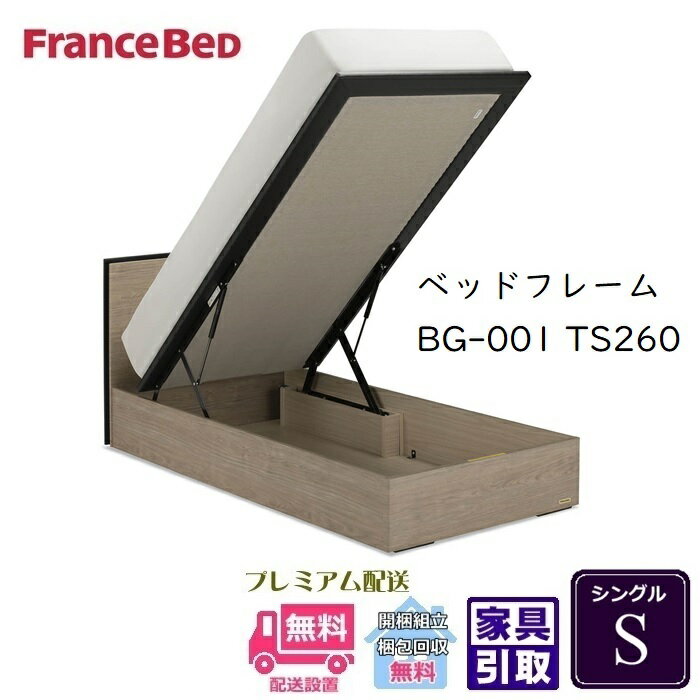 フランスベッド BG-001-260TS シングル【開梱組み立て設置無料】跳ね上げベッドBG-001 縦跳ね上げ TS260