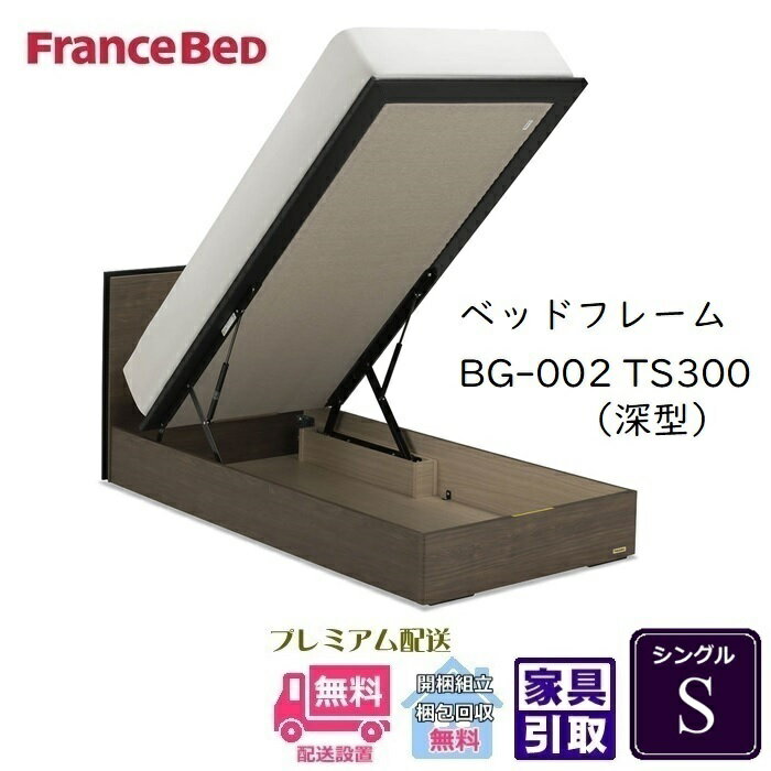 フランスベッド BG-002-300TS シングル【開梱組み立て設置無料】跳ね上げベッドBG-002 縦跳ね上げ TS300