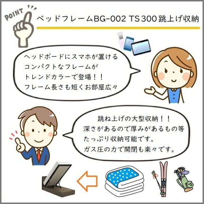 フランスベッド BG-002-300TS セミダブル【開梱組み立て設置無料】跳ね上げベッドBG-002 縦跳ね上げ TS300 [3]