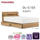 フランスベッド ベッドフレーム DL-C103 DR【送料・開梱設置無料】セミダブル 引出付き M(3)