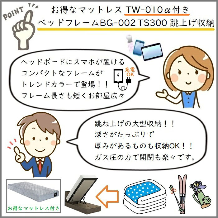 フランスベッド ベッドフレームマットレスセットBG-002 300TS ワイドダブル TW-010付き【開梱組立設置無料】マットレスTW-010α WD跳ね上げ収納ベッド [2]