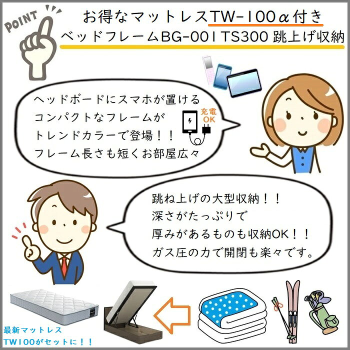 フランスベッド ベッドフレームマットレスセットBG-001 300TS セミダブル TW-100付き【開梱組立設置無料】マットレスTW-100α M跳ね上げ収納ベッド [2]