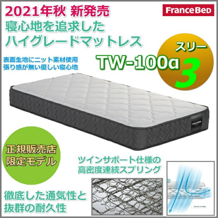 フランスベッド ベッドセット特価 BG-002 DR S2021年秋新作TW-100α3付き【開梱組立設置無料】引出付きベッド シングル TW-100αスリー [3]