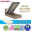 フランスベッド ベッドフレームマットレスセットBG-001 300TS 跳ね上げ セミダブル EF-マルチハード付き【開梱組み立て設置無料】マットレスEF-マルチハード跳ね上げ収納