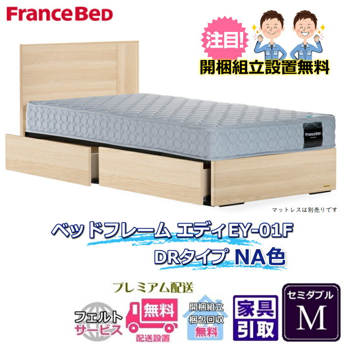 フランスベッド ベッドフレーム エディ セミダブル【送料・開梱組立設置無料】引出付きフレームエディ EY-01F